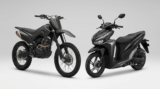 Manual Dirt Bike / Motorcycle vs Automatic Scooter for Bali Roads