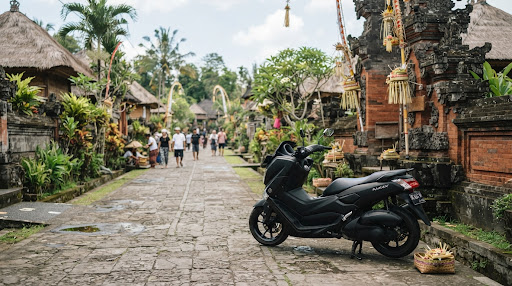 Riding to Penglipuran Bamboo Village: Bamboo Forests & Cultural Stops
