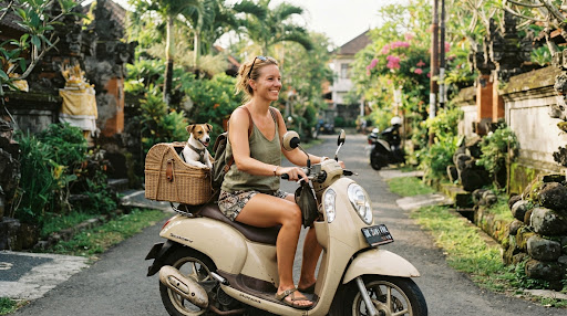 Riding a Scooter with Pets in Bali: Dog Baskets & Pet Carrier Safety Rules