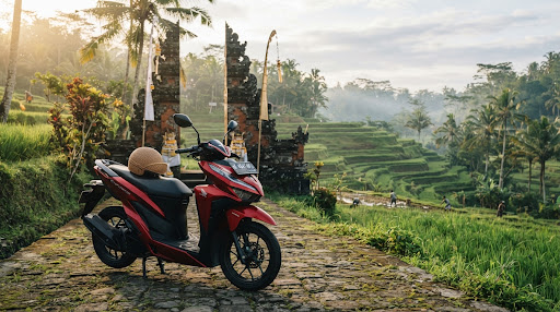Tegallalang Rice Terrace Scooter Ride: Parking Fees & Scenic Photo Stops