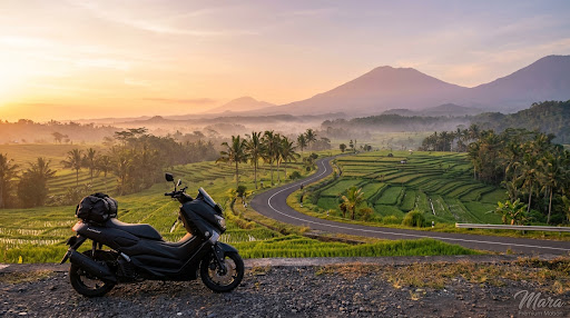 The Ultimate Canggu to Ubud Scooter Route: Secret Shortcuts & Scenic Stops
