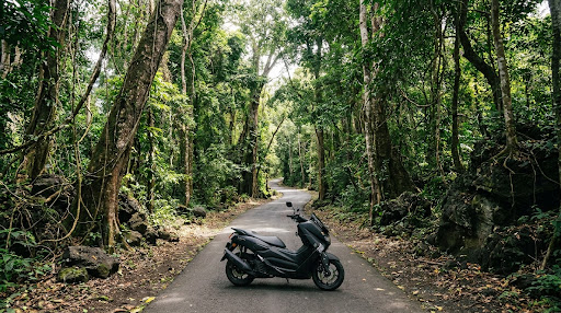 West Bali National Park Scooter Trip: Menjangan Island Highway