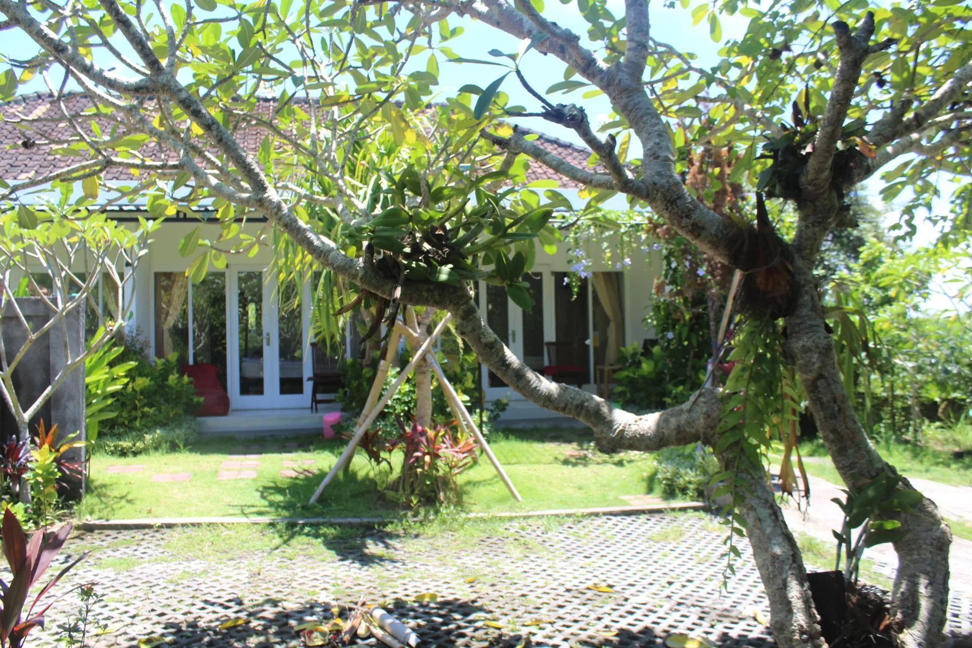 SUMMER HOMESTAY - Photo 1