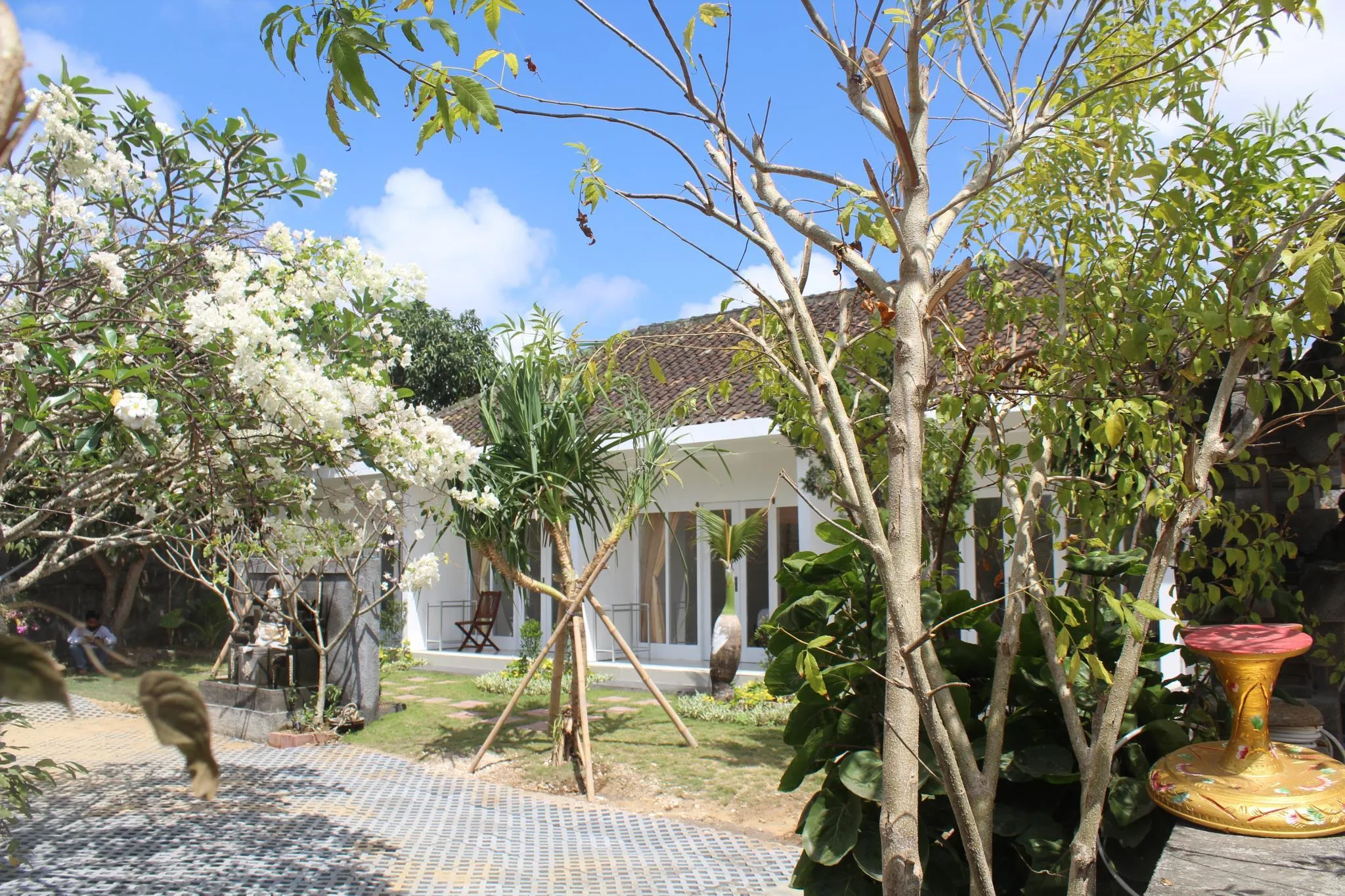 SUMMER HOMESTAY - Photo 3