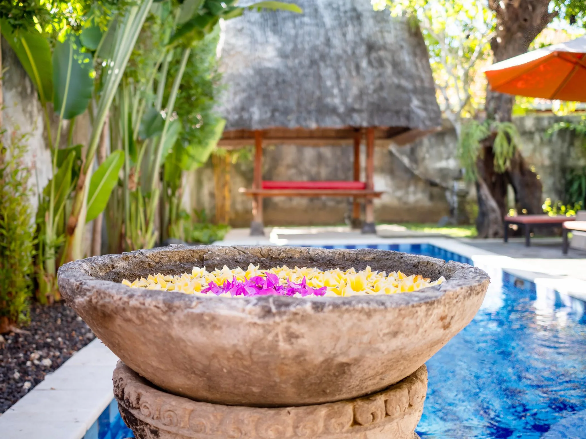 Terrace Bali Villa - Photo 3